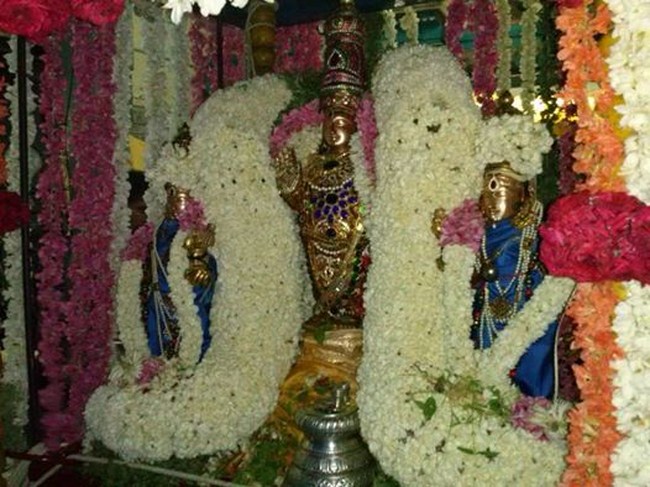 Aminjikarai Sri Prasanna Varadharaja Perumal brahmothsavam 3