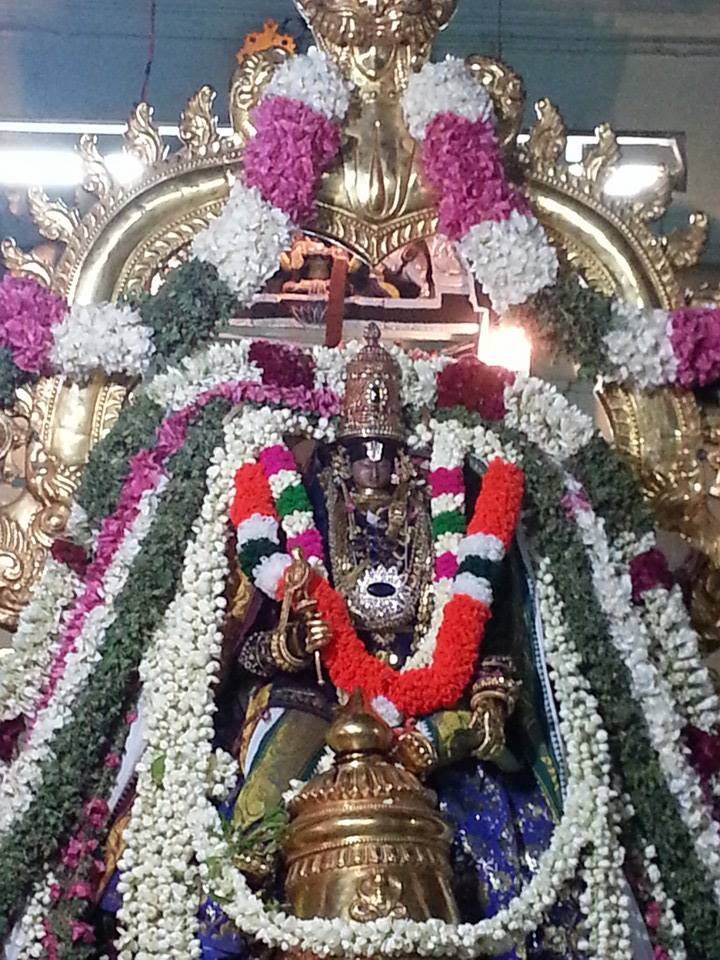 Ariyakudi Brahmotsavam Garuda Sevai