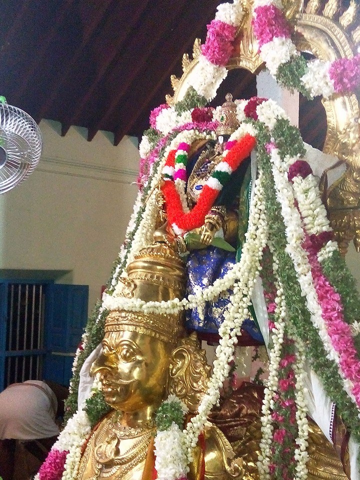 Ariyakudi Brahmotsavam Garuda Sevai2