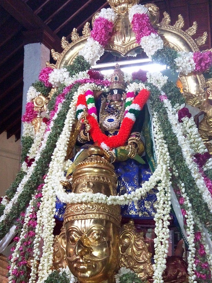 Ariyakudi Brahmotsavam Garuda Sevai4