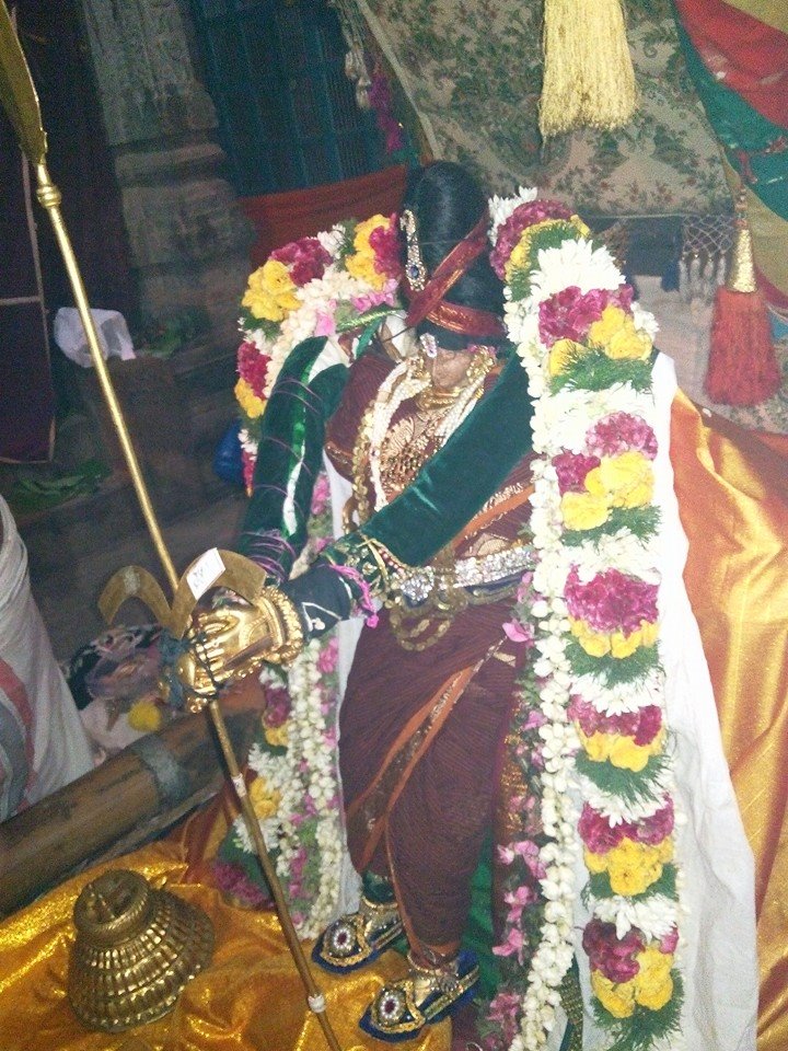 Ariyakudi Brahmotsavam Kallazhagar2
