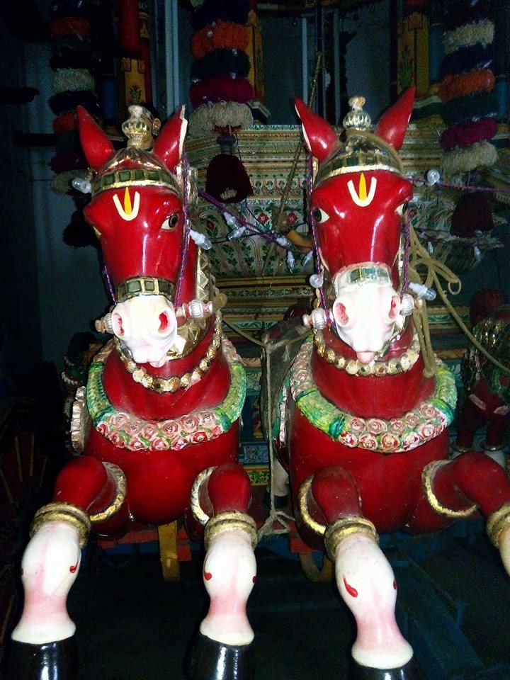 Ariyakudi Brahmotsavam Parthasarathy thirukolam6