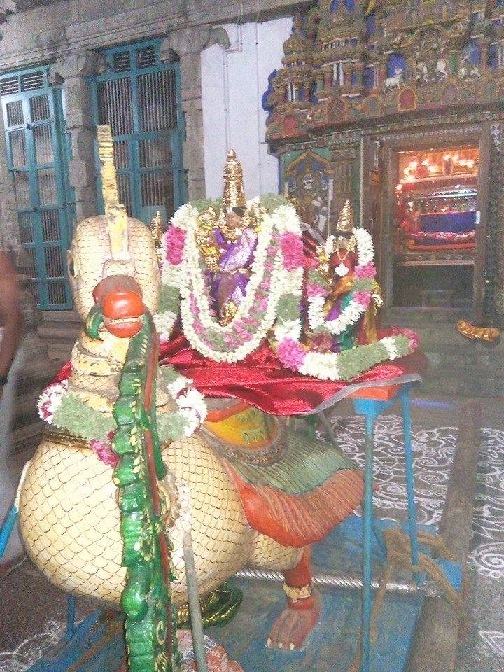 Ariyakudi Hamsa Vahanam1