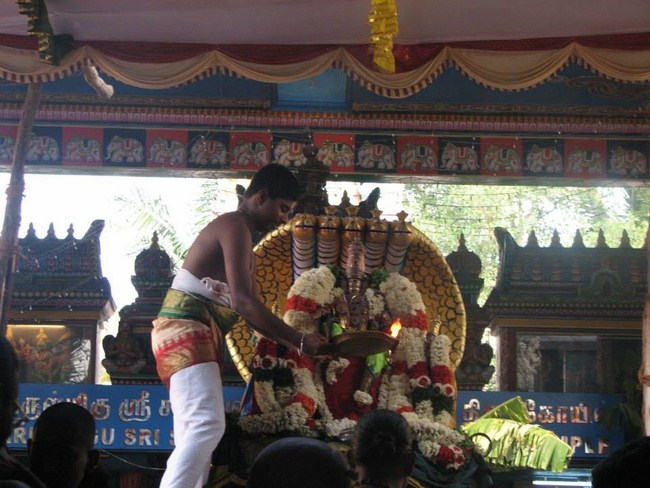 Arumbakkam Sri Satya Varadharaja Perumal brahmothsavam 13