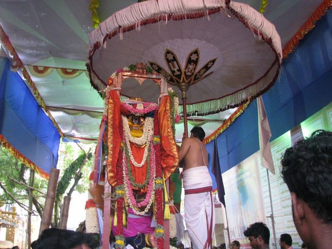 Arumbakkam Sri Satya Varadharaja Perumal brahmothsavam 14