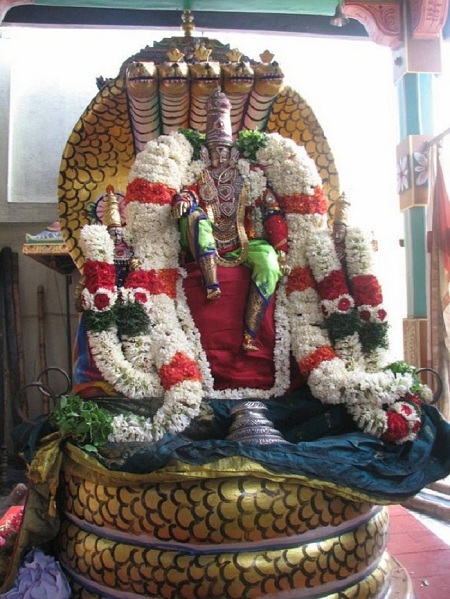 Arumbakkam Sri Satya Varadharaja Perumal brahmothsavam 16