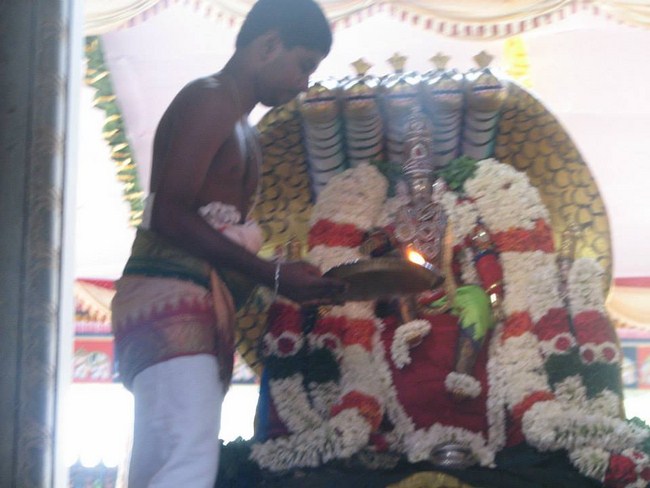 Arumbakkam Sri Satya Varadharaja Perumal brahmothsavam 22
