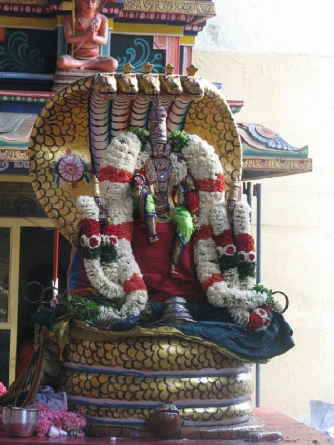 Arumbakkam Sri Satya Varadharaja Perumal brahmothsavam 25