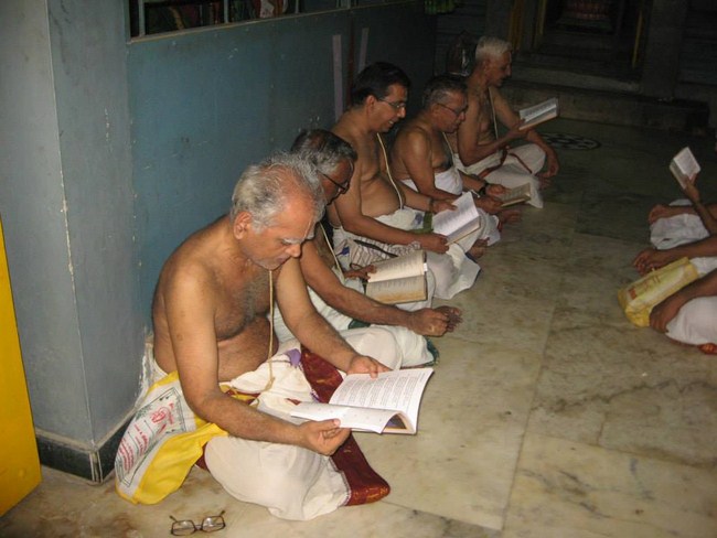 Arumbakkam Sri Satya Varadharaja Perumal brahmothsavam 3
