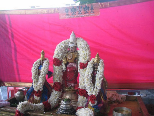 Arumbakkam Sri Satya Varadharaja Perumal brahmothsavam 53