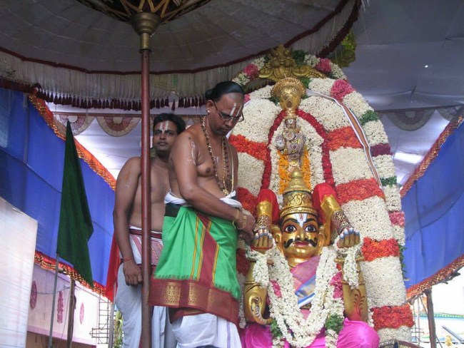 Arumbakkam Sri Satya Varadharaja Perumal brahmothsavam 7