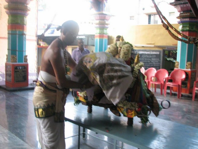 Arumbakkam Sri Satyavaradaraja Perumal Temple Brahmotsavam10