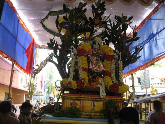 Arumbakkam Sri Satyavaradaraja Perumal Temple Brahmotsavam18