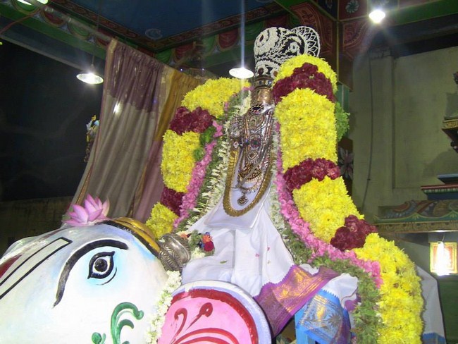 Arumbakkam Sri Satyavaradaraja Perumal Temple Brahmotsavam20