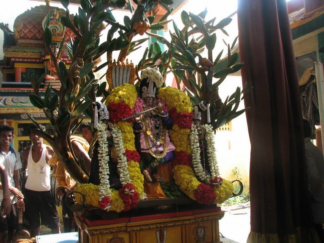 Arumbakkam Sri Satyavaradaraja Perumal Temple Brahmotsavam22