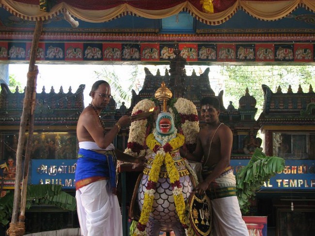 Arumbakkam Sri Satyavaradaraja Perumal Temple Brahmotsavam25