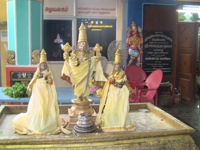 Arumbakkam Sri Satyavaradaraja Perumal Temple Brahmotsavam29