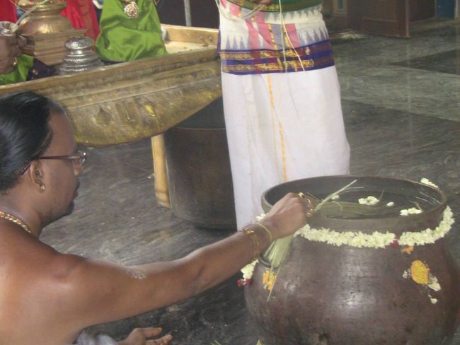 Arumbakkam Sri Satyavaradaraja Perumal Temple Brahmotsavam31