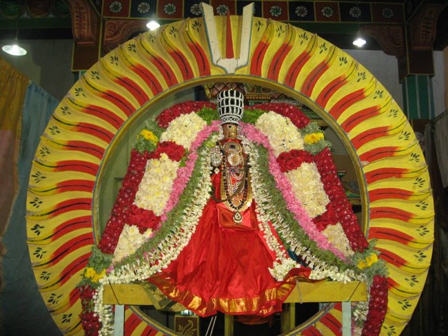 Arumbakkam Sri Satyavaradaraja Perumal Temple Brahmotsavam34