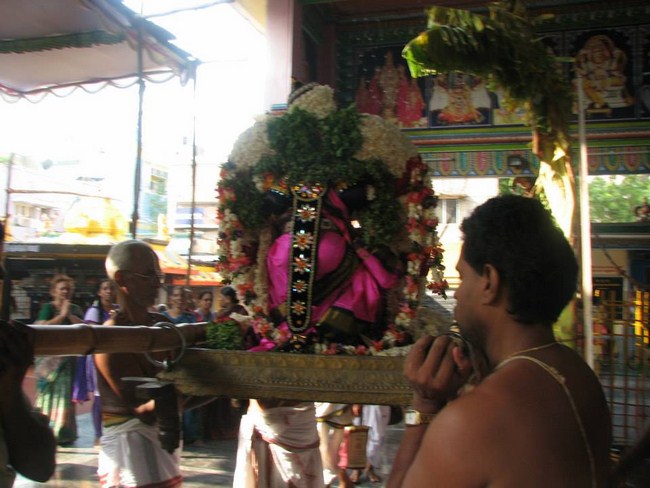 Arumbakkam Sri Satyavaradaraja Perumal Temple Brahmotsavam34