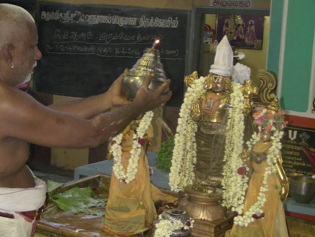 Arumbakkam Sri Satyavaradaraja Perumal Temple Brahmotsavam47