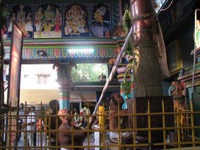 Arumbakkam Sri Satyavaradaraja Perumal Temple Brahmotsavam5