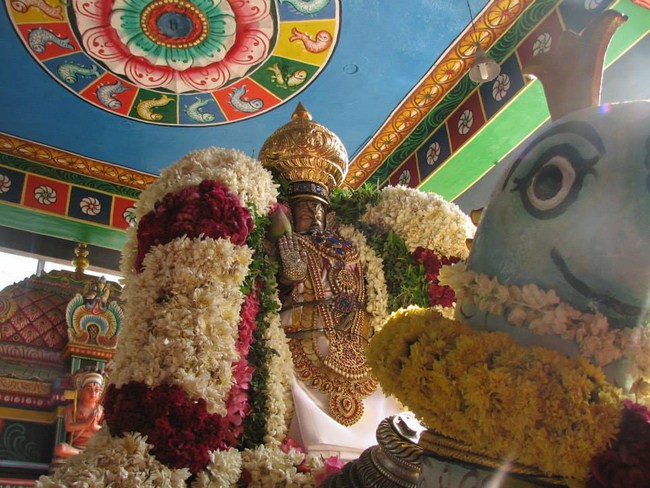 Arumbakkam Sri Satyavaradaraja Perumal Temple Brahmotsavam5