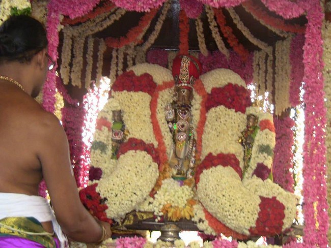 Arumbakkam Sri Satyavaradaraja Perumal Temple Brahmotsavam6