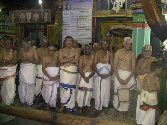 Arumbakkam Sri Satyavaradaraja Perumal Temple Brahmotsavam63