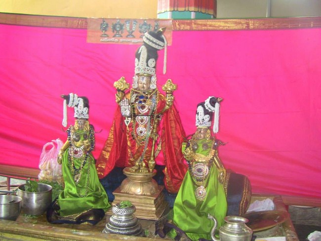 Arumbakkam Sri Satyavaradaraja Perumal Temple Brahmotsavam9