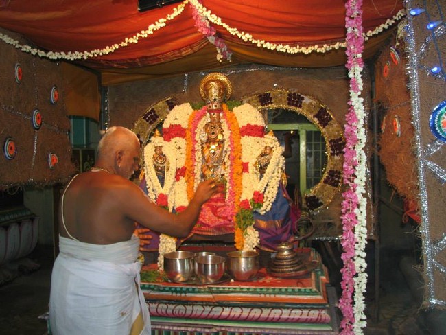 Arumbakkam Sri Satyavaradaraja Perumal Temple Vasanthotsavam Commences11