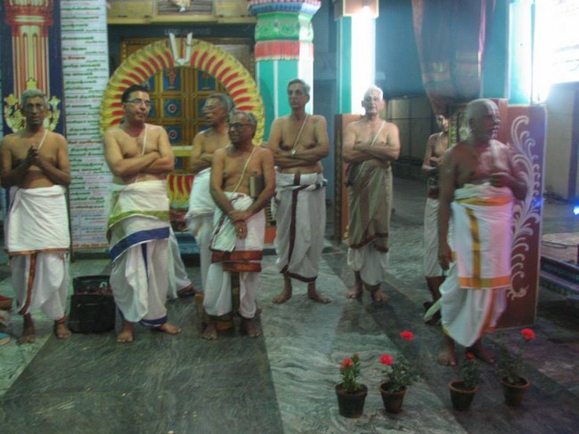 Arumbakkam Sri Satyavaradaraja Perumal Temple Vasanthotsavam Commences12