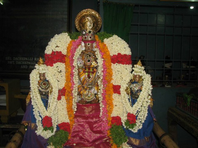 Arumbakkam Sri Satyavaradaraja Perumal Temple Vasanthotsavam Commences13