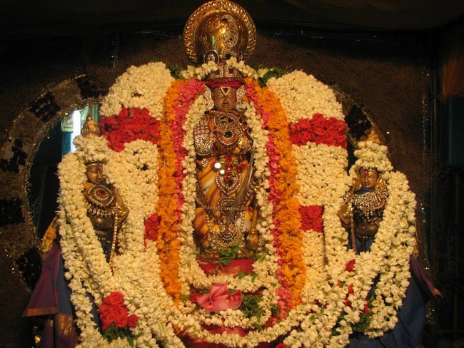 Arumbakkam Sri Satyavaradaraja Perumal Temple Vasanthotsavam Commences14