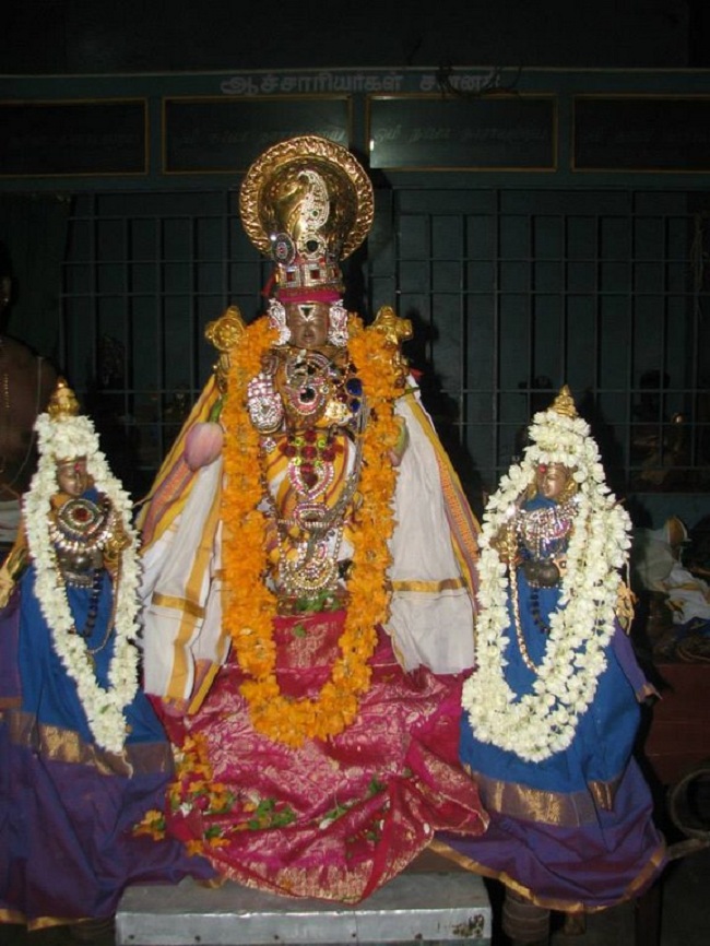 Arumbakkam Sri Satyavaradaraja Perumal Temple Vasanthotsavam Commences16