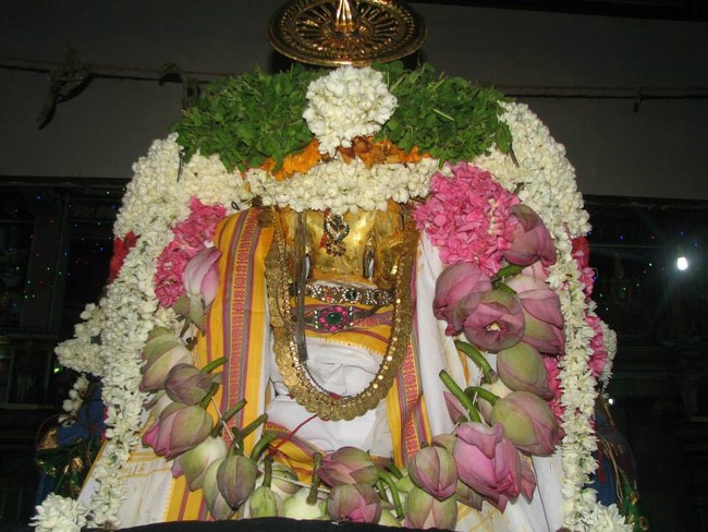 Arumbakkam Sri Satyavaradaraja Perumal Temple Vasanthotsavam Commences19