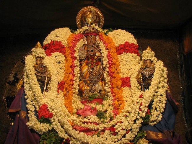 Arumbakkam Sri Satyavaradaraja Perumal Temple Vasanthotsavam Commences24