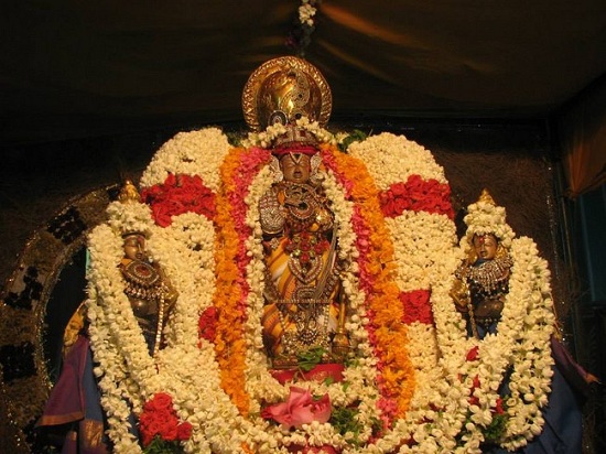 Arumbakkam Sri Satyavaradaraja Perumal Temple Vasanthotsavam Commences27