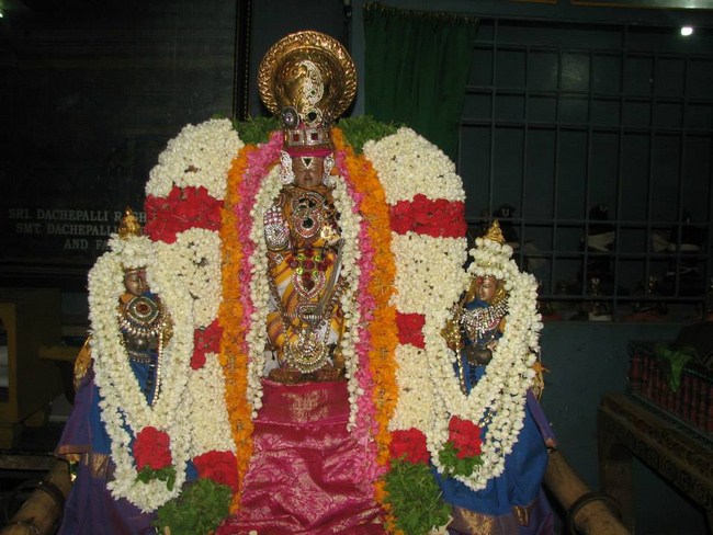 Arumbakkam Sri Satyavaradaraja Perumal Temple Vasanthotsavam Commences36