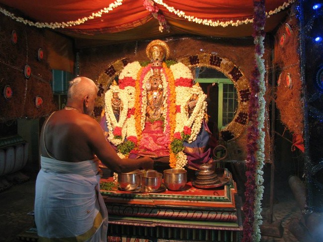 Arumbakkam Sri Satyavaradaraja Perumal Temple Vasanthotsavam Commences5