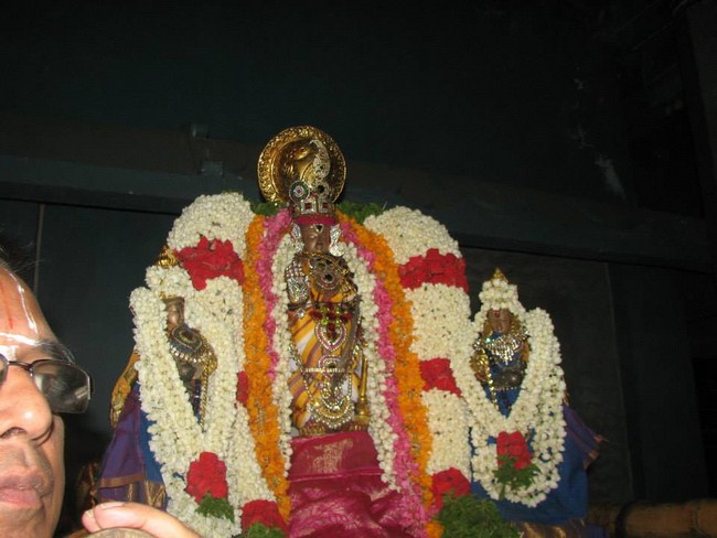 Arumbakkam Sri Satyavaradaraja Perumal Temple Vasanthotsavam Commences8