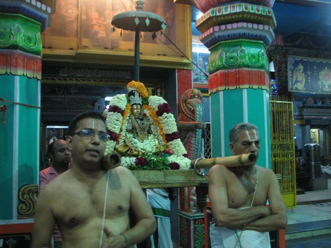 Arumbakkam Sri Satyavaradaraja Perumal Temple Vasanthotsavam Concludes13