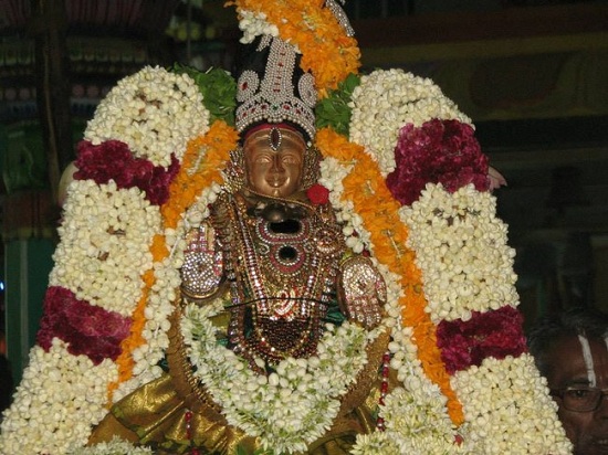 Arumbakkam Sri Satyavaradaraja Perumal Temple Vasanthotsavam Concludes1