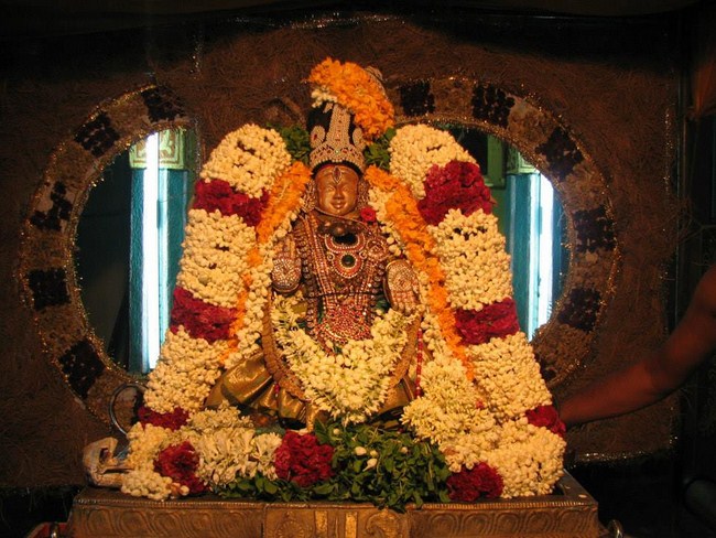 Arumbakkam Sri Satyavaradaraja Perumal Temple Vasanthotsavam Concludes3