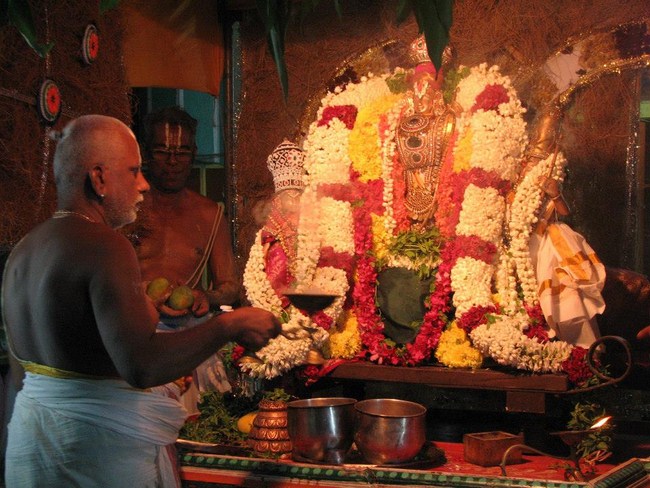 Arumbakkam Sri Satyavaradaraja Perumal Temple Vasanthotsavam11
