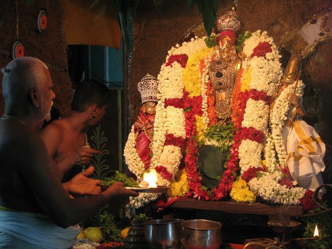 Arumbakkam Sri Satyavaradaraja Perumal Temple Vasanthotsavam12