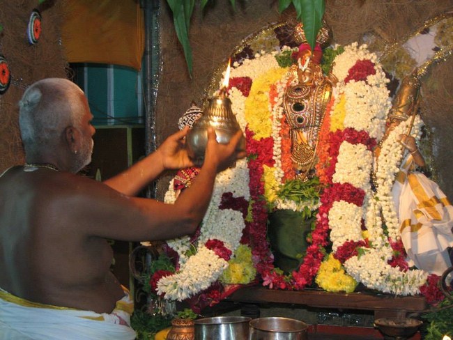 Arumbakkam Sri Satyavaradaraja Perumal Temple Vasanthotsavam13