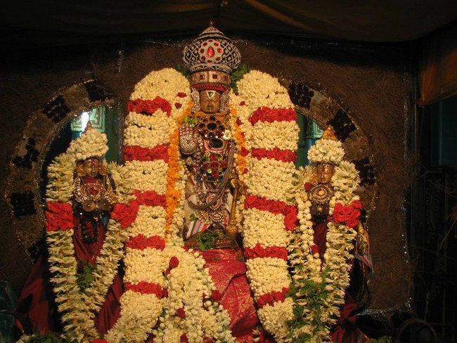 Arumbakkam Sri Satyavaradaraja Perumal Temple Vasanthotsavam16