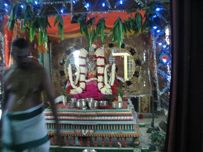 Arumbakkam Sri Satyavaradaraja Perumal Temple Vasanthotsavam2