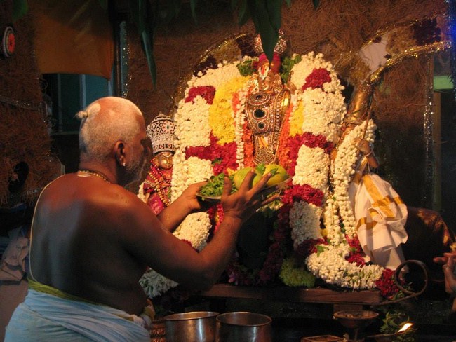 Arumbakkam Sri Satyavaradaraja Perumal Temple Vasanthotsavam22